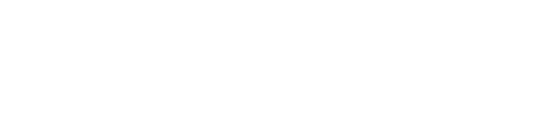 RioAce Casino